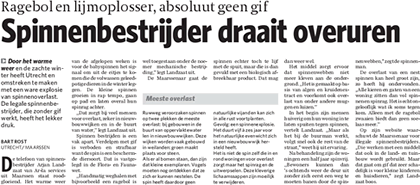 De telefoon van spinnenoverlast bestrijder Arjan Landzaat van Ar-La Services uit Maarssen staat roodgloeiend. Het warme weer van de afgelopen weken is voor de babyspinnen het signaal om uit de eitjes te komen die de volwassen geleedpotigen dieren in de winter leggen.